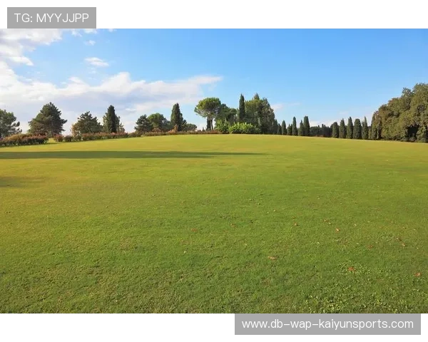 绿色环保足球场成为城市新名片，打造“绿色足球城市”，足球场绿色草坪背景图